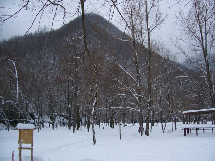  Image name: molino 2008 308.jpg 
 width: 708 pixel 
 height: 532 pixel 
 Size: 129151 bytes 
 Click to enlarge 